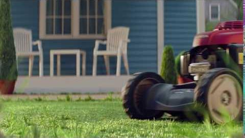 Honda ·; Professional stylist for your lawn